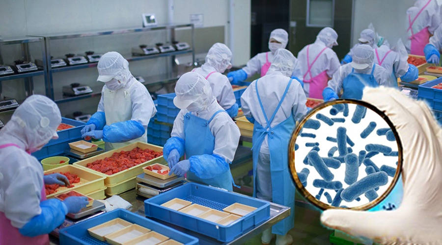 食品生產(chǎn)車(chē)間的致病菌環(huán)境監(jiān)控