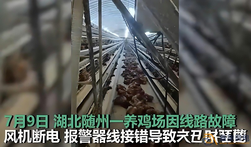 養(yǎng)雞場為什么要24h監(jiān)測溫濕度斷電報警器？